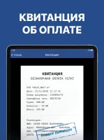 Штрафы с фото и ОСАГО онлайн