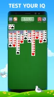 Spider Solitaire Deluxe® 2