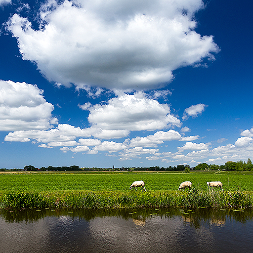 Weather in Holland