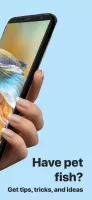 Picture Fish