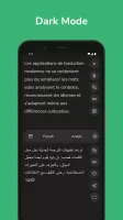French - Arabic Translator