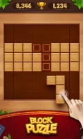 Wood Block Puzzle