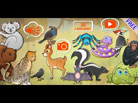 Kids puzzle games - Animals for kids