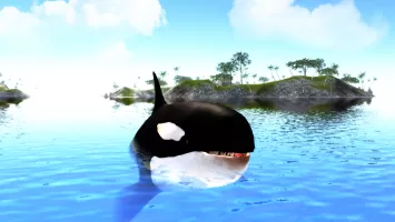 The Killer Whale