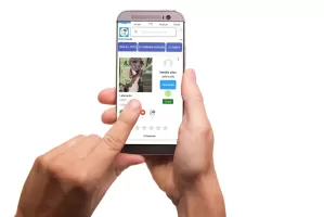 pet & dog - Buy and sell