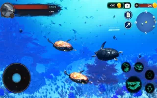 The Turtle