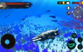 The Crocodile