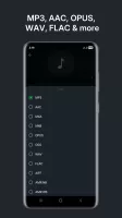 Audio Converter (MP3 AAC OPUS)