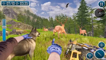 Animal Attack: Animal Games