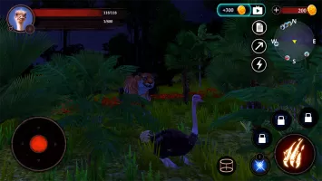 The Ostrich