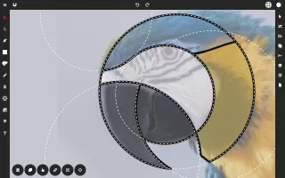 Vector Ink: SVG, Illustrator