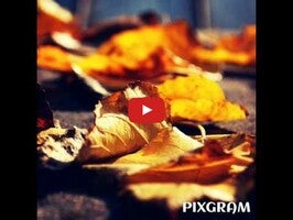 Creative music slideshow video, powered by Pixgram