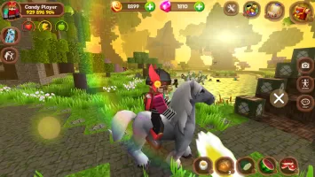 Pony World Craft