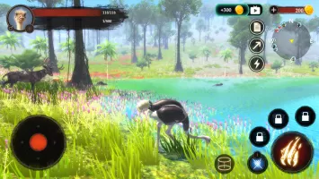 The Ostrich