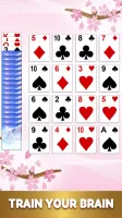 Classic Card Games Collection