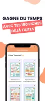 Brevet Bac Sup Primaire 2025