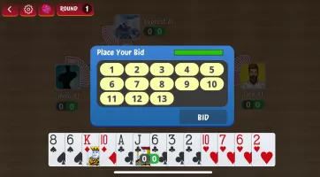 Call Break Card Game