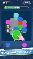 Hexa Puzzle Game: Color Sort