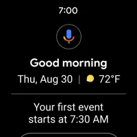 Wear OS by Google Smartwatch