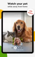 Barkio: Dog Monitor & Pet Cam