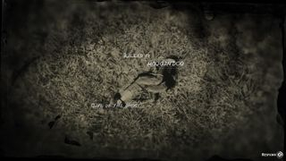 Wild West Cowboy Redemption