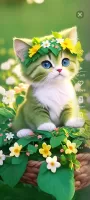 Cute Cat Wallpaper HD