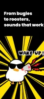 Early Bird Alarm Clock