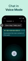 Chatbot AI Chat Open Assistant