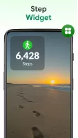 Pedometer King
