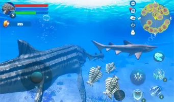 Leedsichthys Simulator