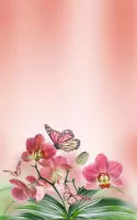 Butterfly Live Wallpaper