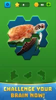 Hex Block Jigsaw Puzzle