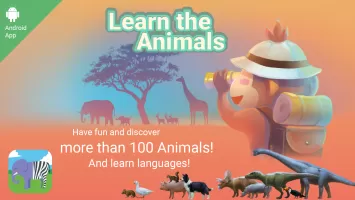 Animal Games for kids!