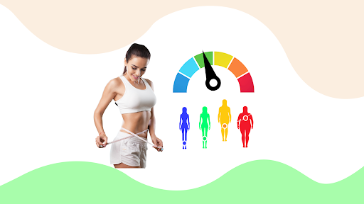 BMI Calculator Body Mass Index