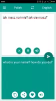 Polish-English Translator