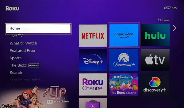 How to Add Amazon Prime Video on Your Roku Device?