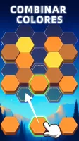 Hexa Puzzle Game: Color Sort