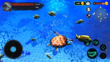 The Turtle