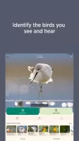 Audubon Bird Guide