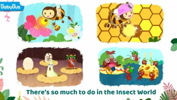 Little Panda's Insect World