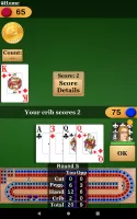 Cribbage Pro