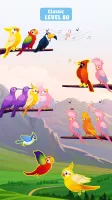 Bird Sort - Color Birds Game