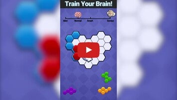 Hexa-Jigsaw Puzzles