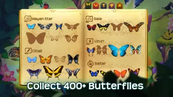 Flutter: Butterfly Sanctuary