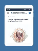 ShopGoodwill