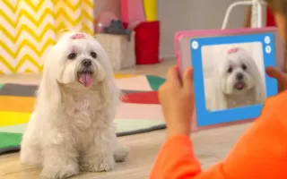 smART sketcher Projector
