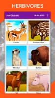 How to draw animals by steps