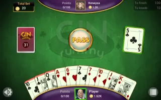 Gin Rummy - Offline Card Games