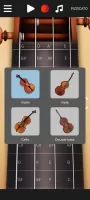 Real Violin Solo