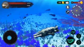 The Crocodile